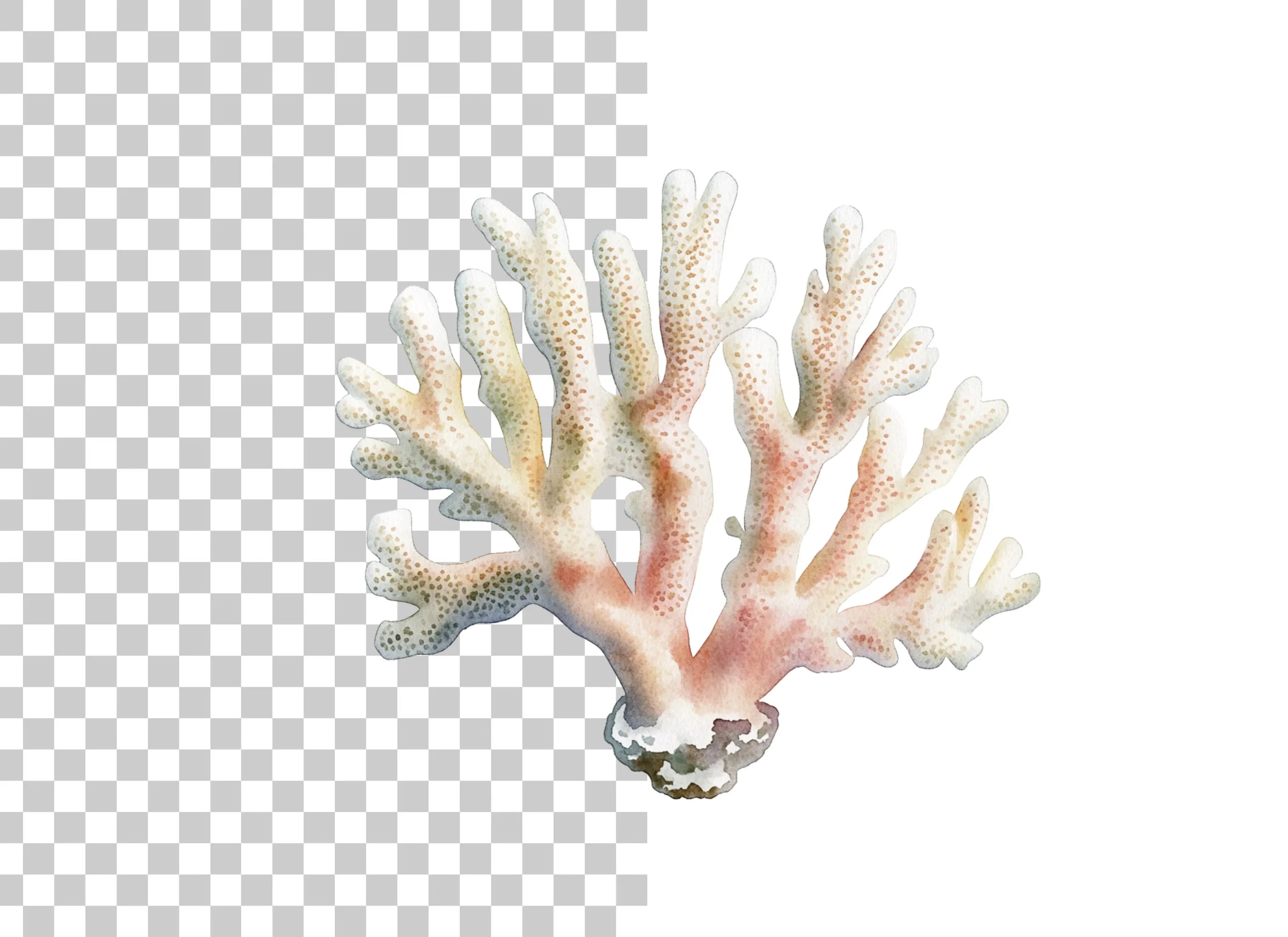 Realistic Coral Reef Graphic Clipart Bundle