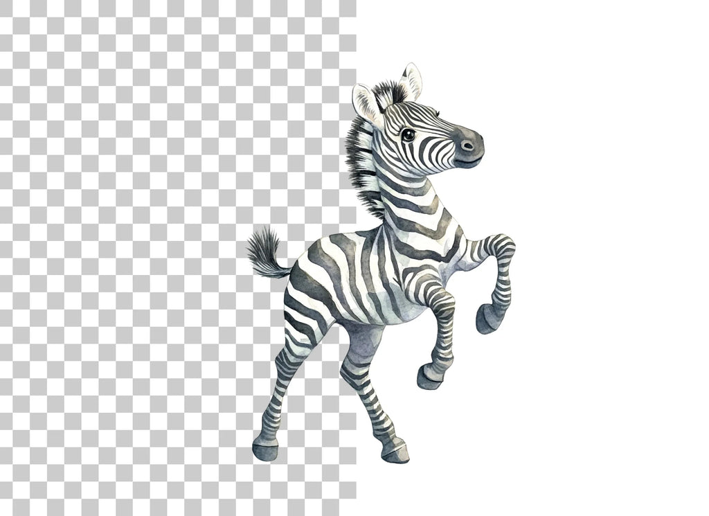 Adorable Zebra Clipart Bundle