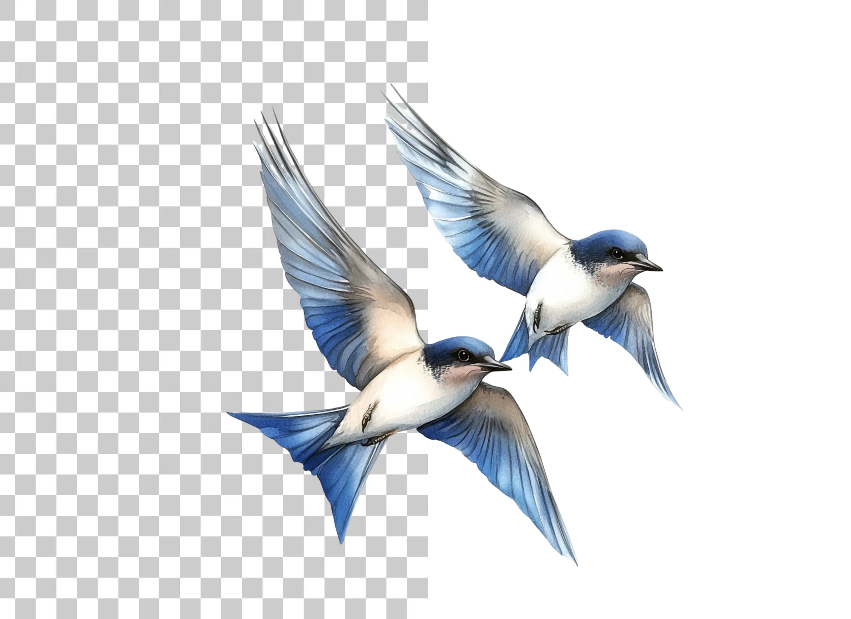 Graceful Blue Swallows Clipart Bundle