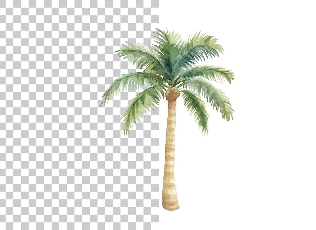 Palm Trees Clipart Bundle