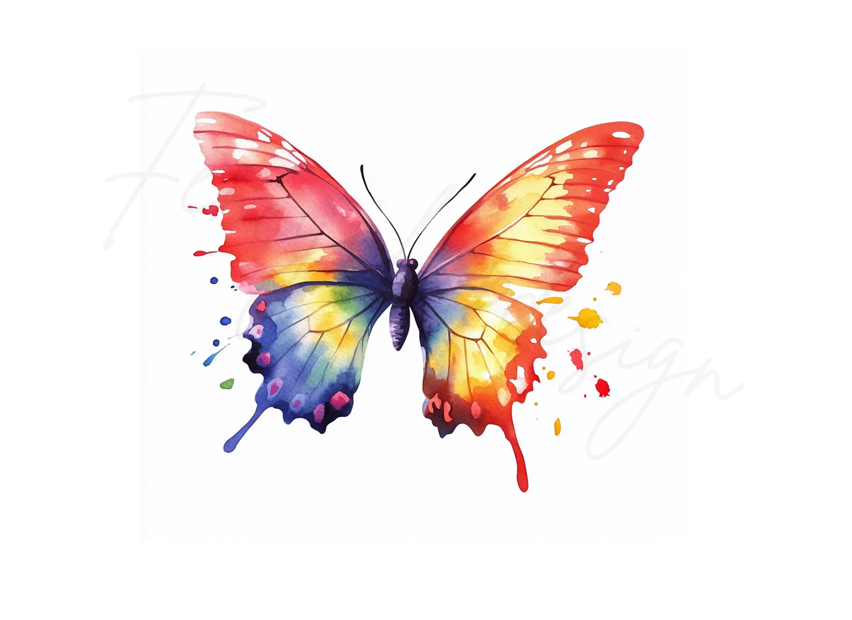 Rainbow Butterfly Clipart Bundle