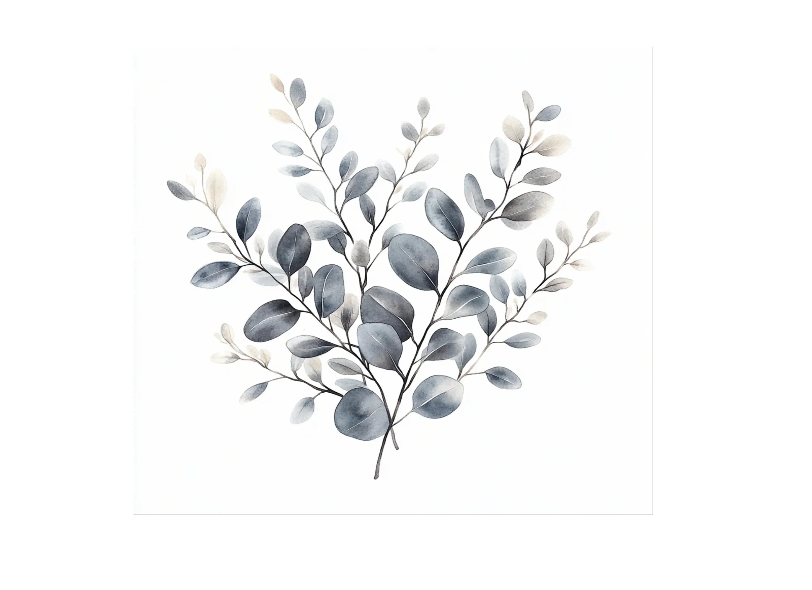 Eucalyptus Branches Clipart Bundle