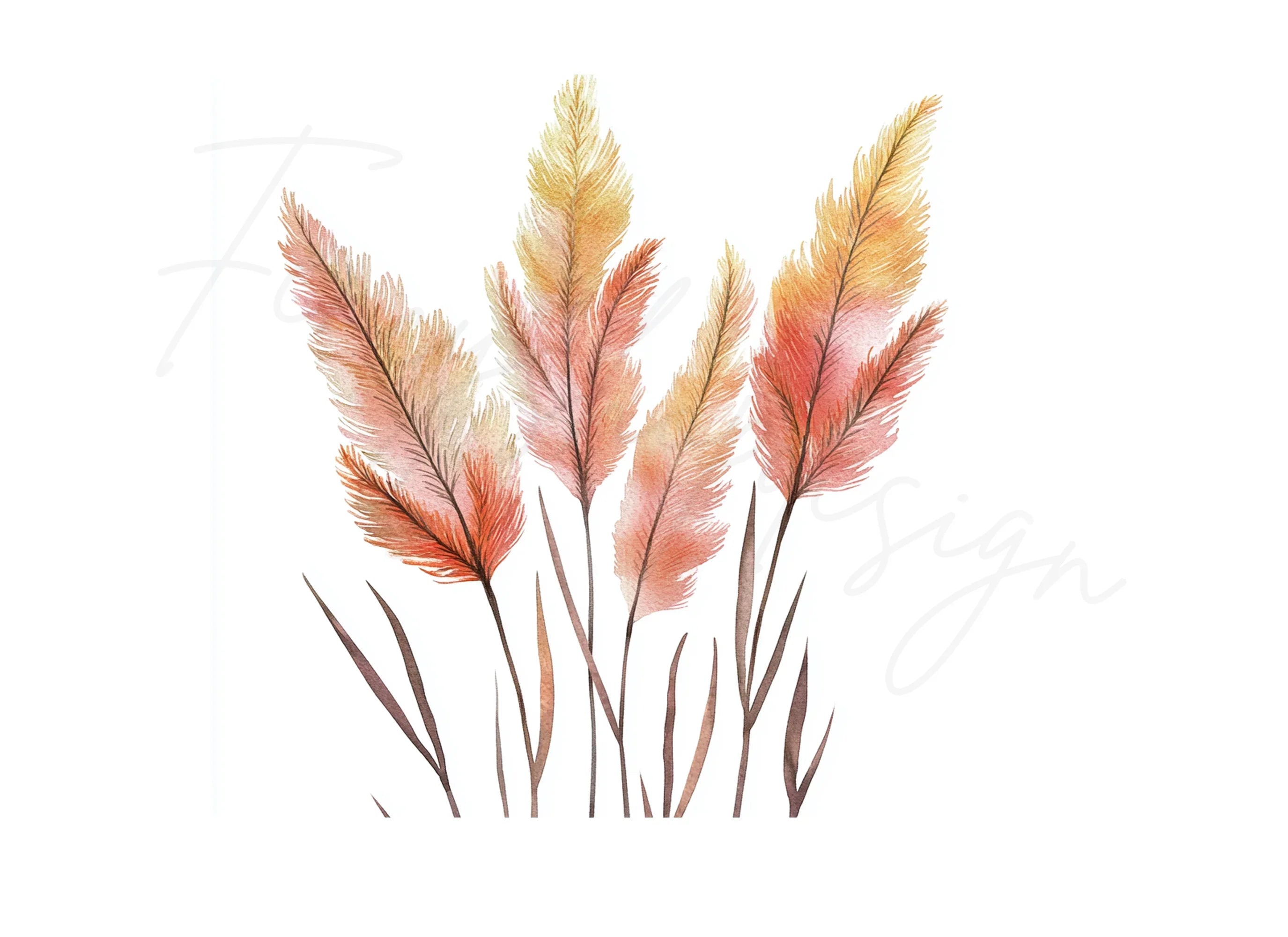 Pampas Grass Clipart Bundle