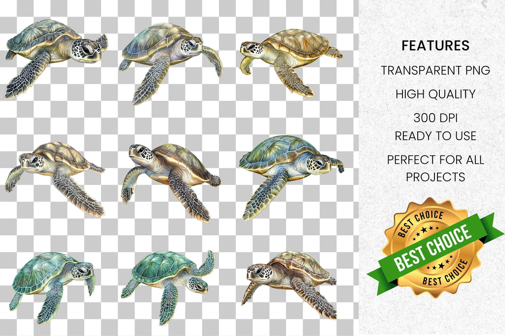 Realistic Sea Turtle Clipart Bundle