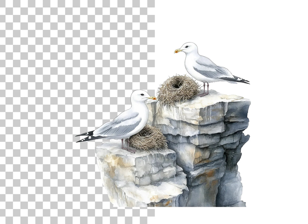 Seagulls on Rocks with Nests Clipart Bundle