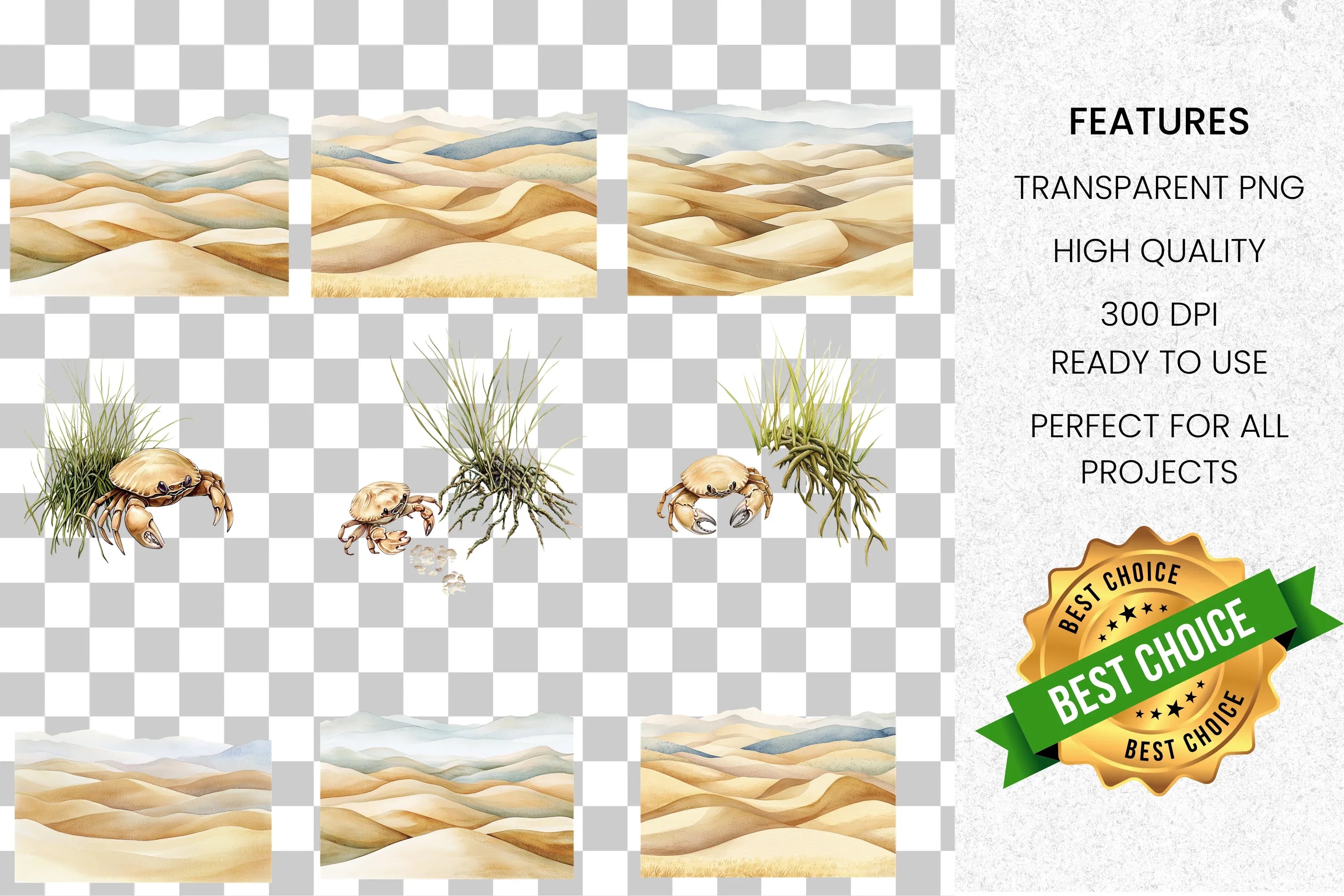 Desert Dunes and Beach Crab Clipart Bundle