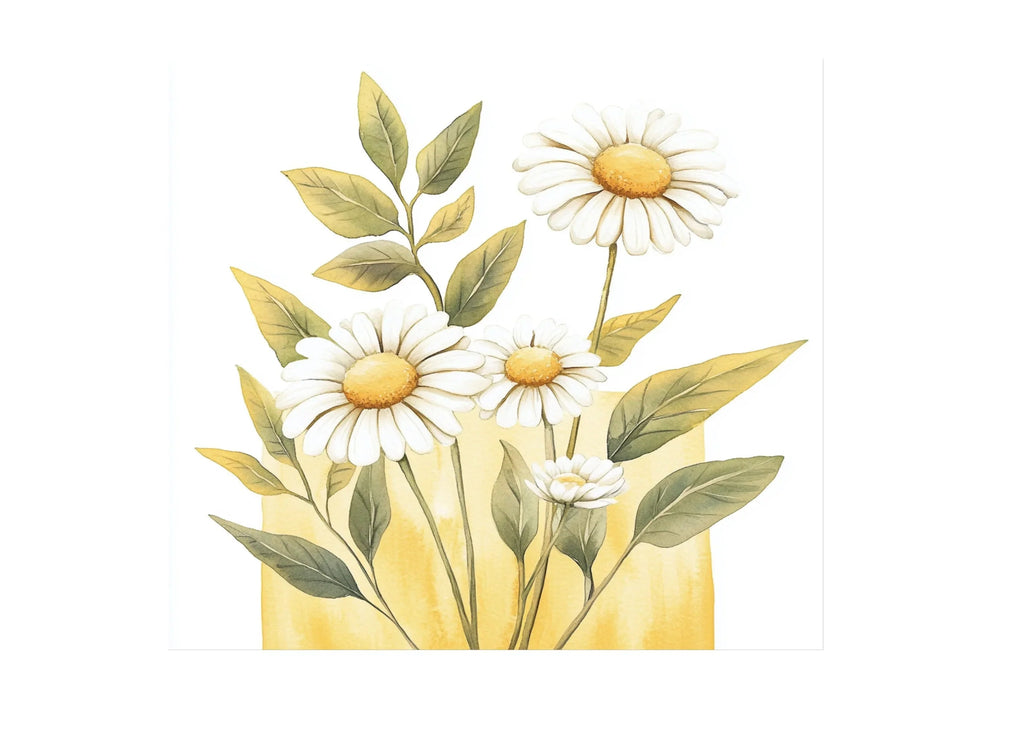 Daisy Clipart Bundle