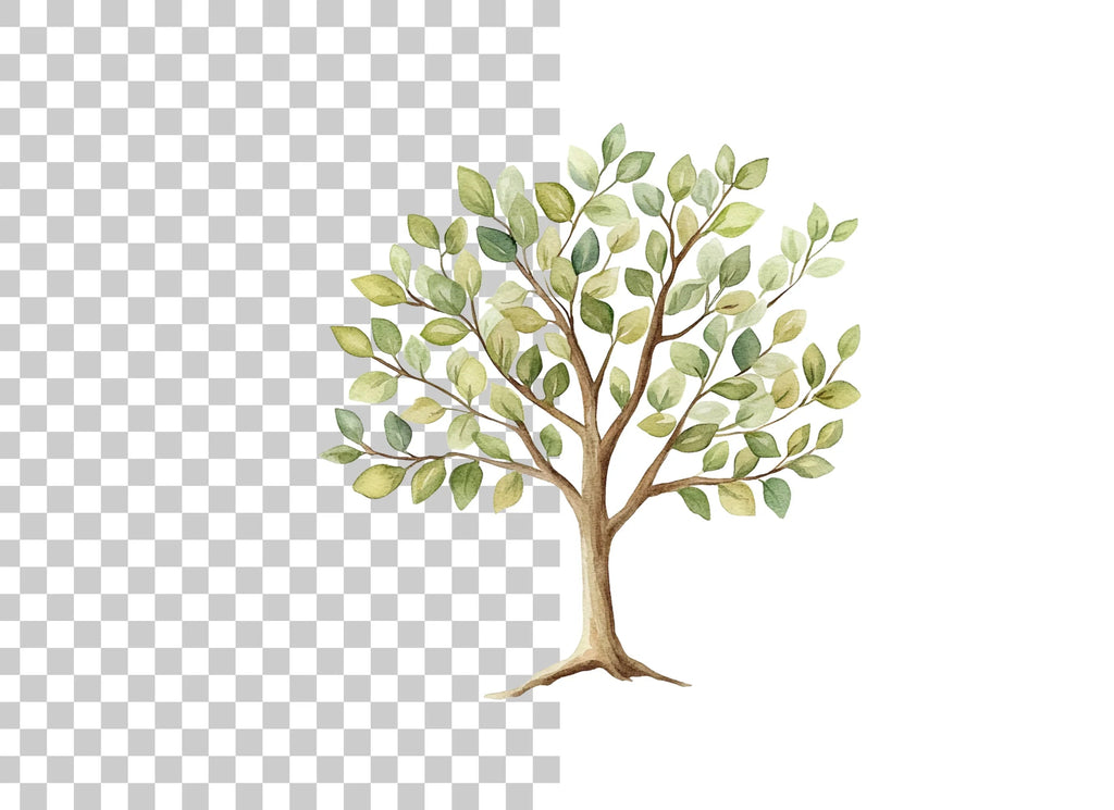 Tree Clipart Bundle