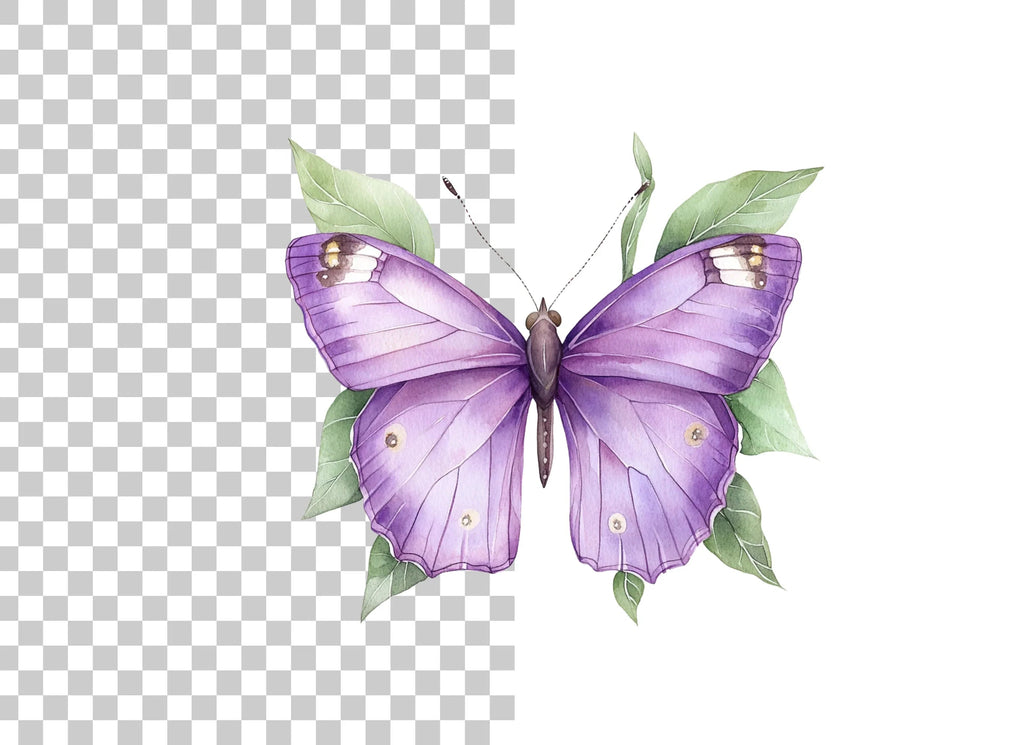 Purple Butterflies Clipart Bundle