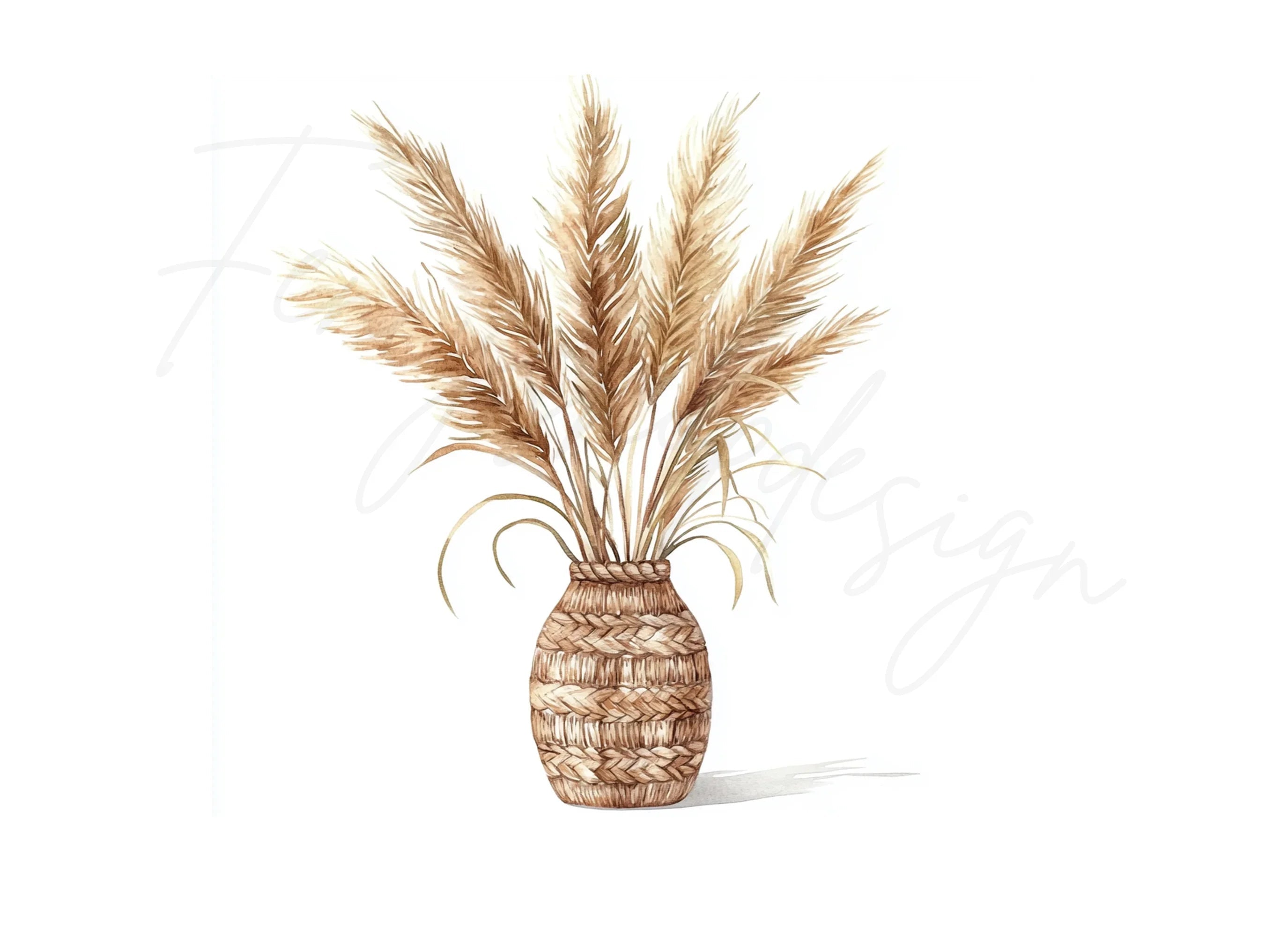 Pampas Grass in Woven Vases Clipart Bundle