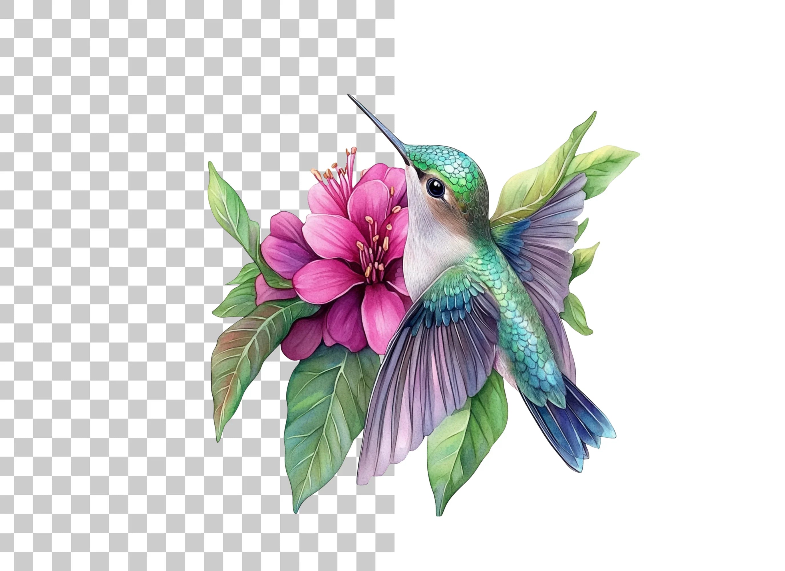 Hummingbird and Dahlia Clipart Bundle