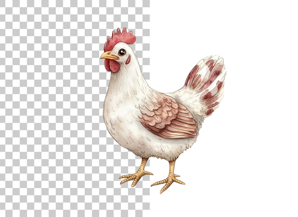White Chicken Clipart Bundle