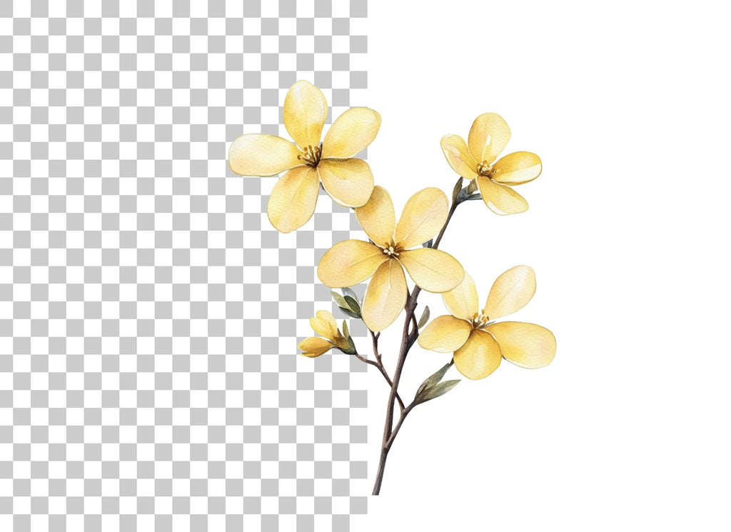 Delicate Yellow Floral Clipart Bundle