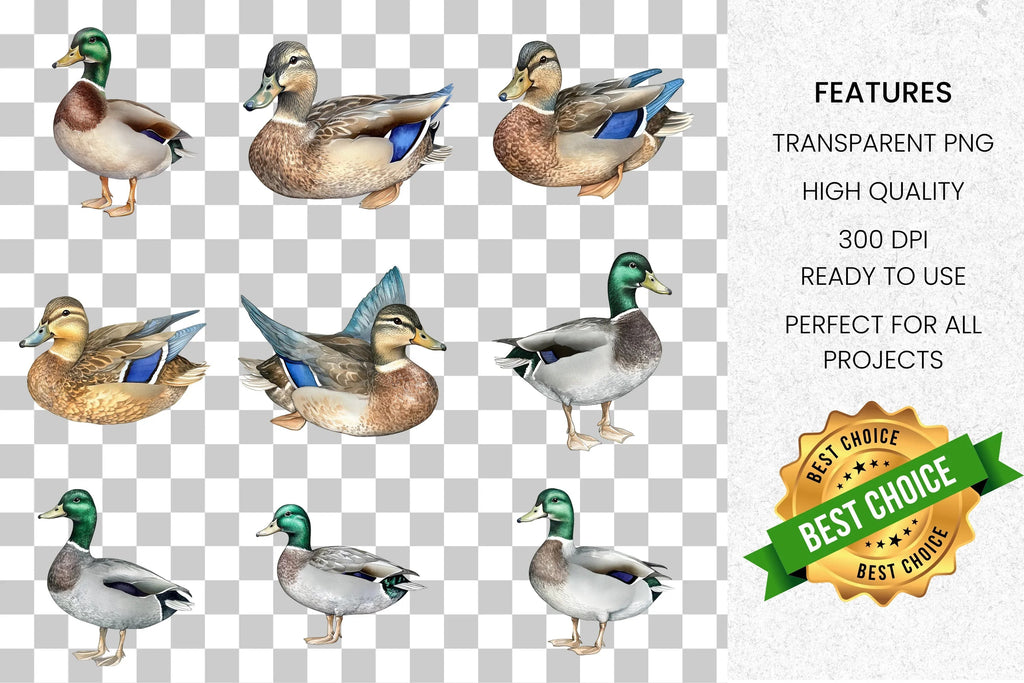 Mallard Ducks Wildlife Animal Clipart Bundle