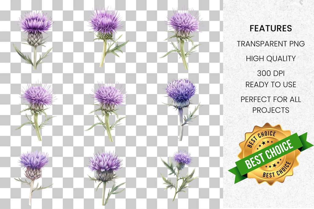 Scottish Thistle Clipart Bundle