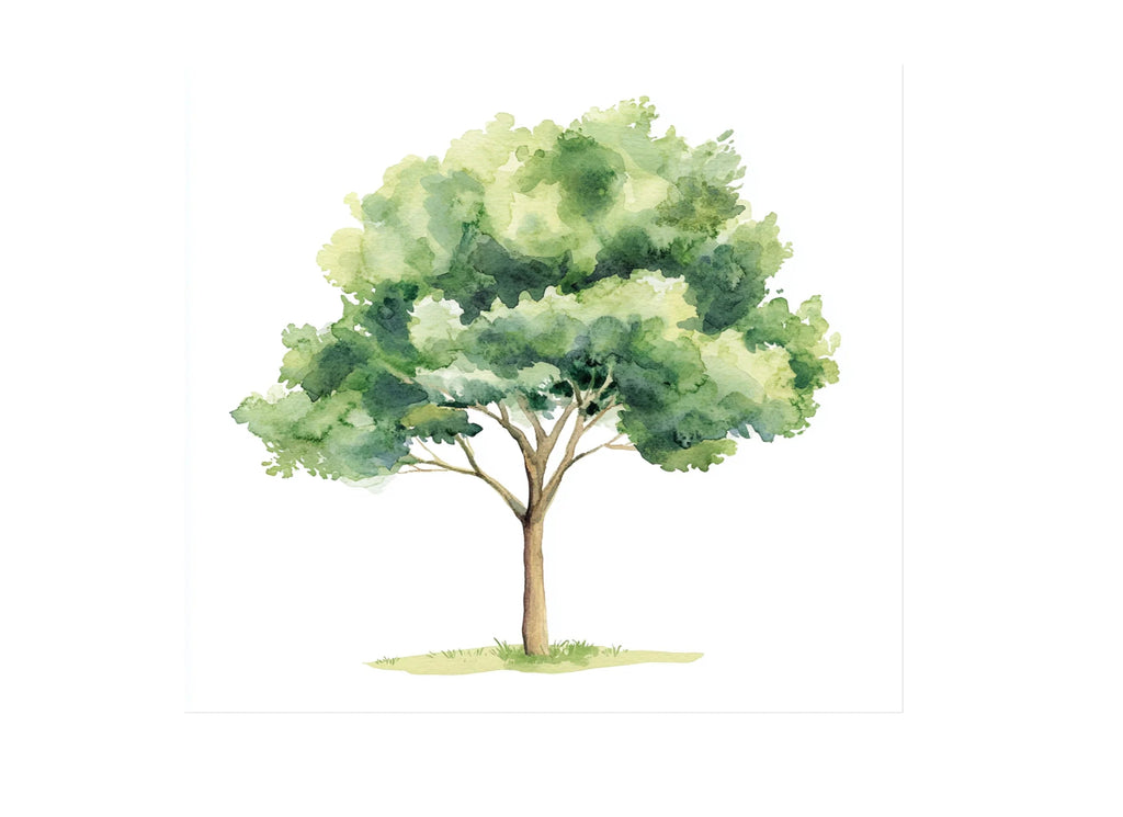 Green Trees Clipart Bundle