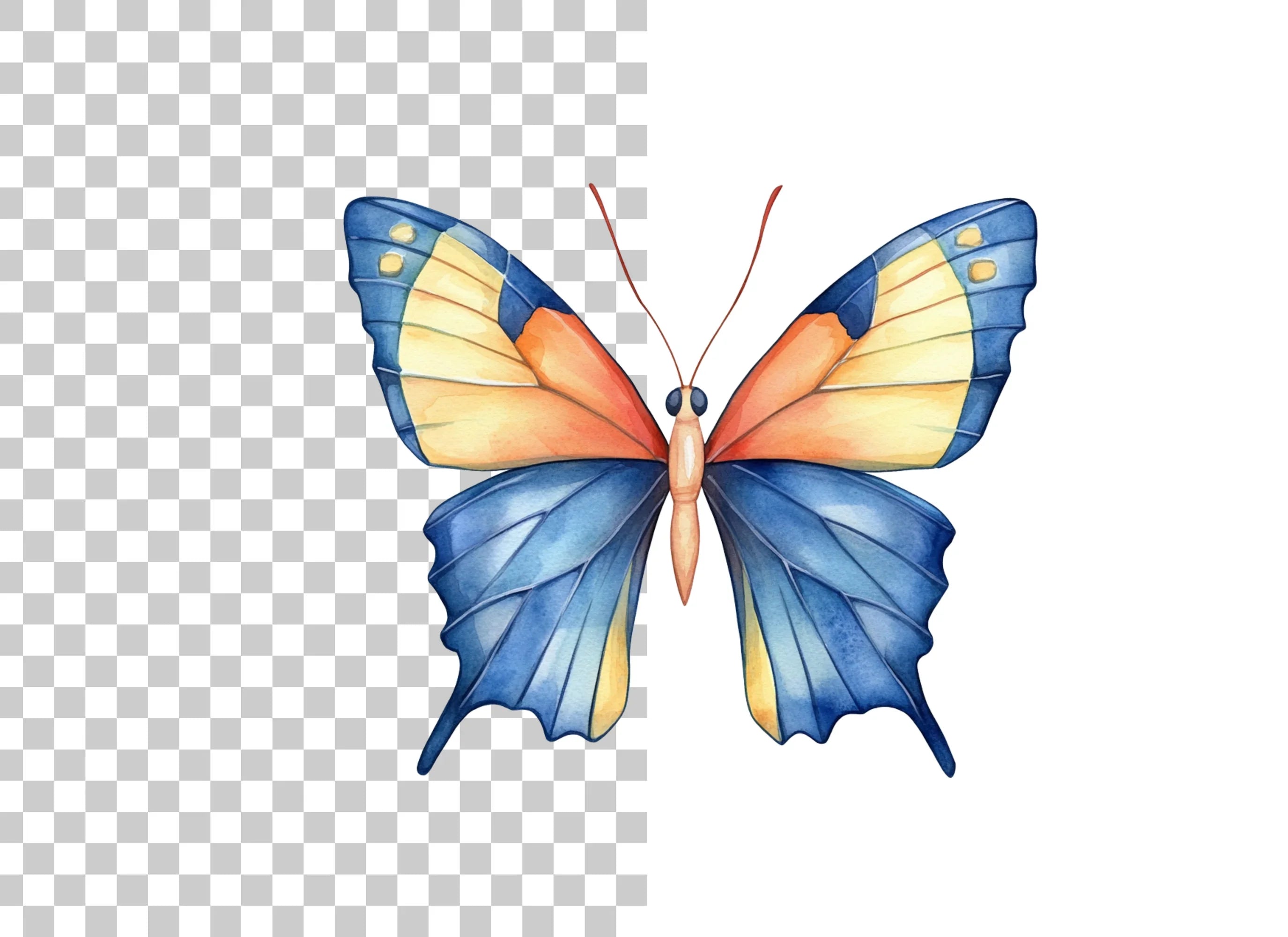 Blue and Orange Butterfly Clipart Bundle