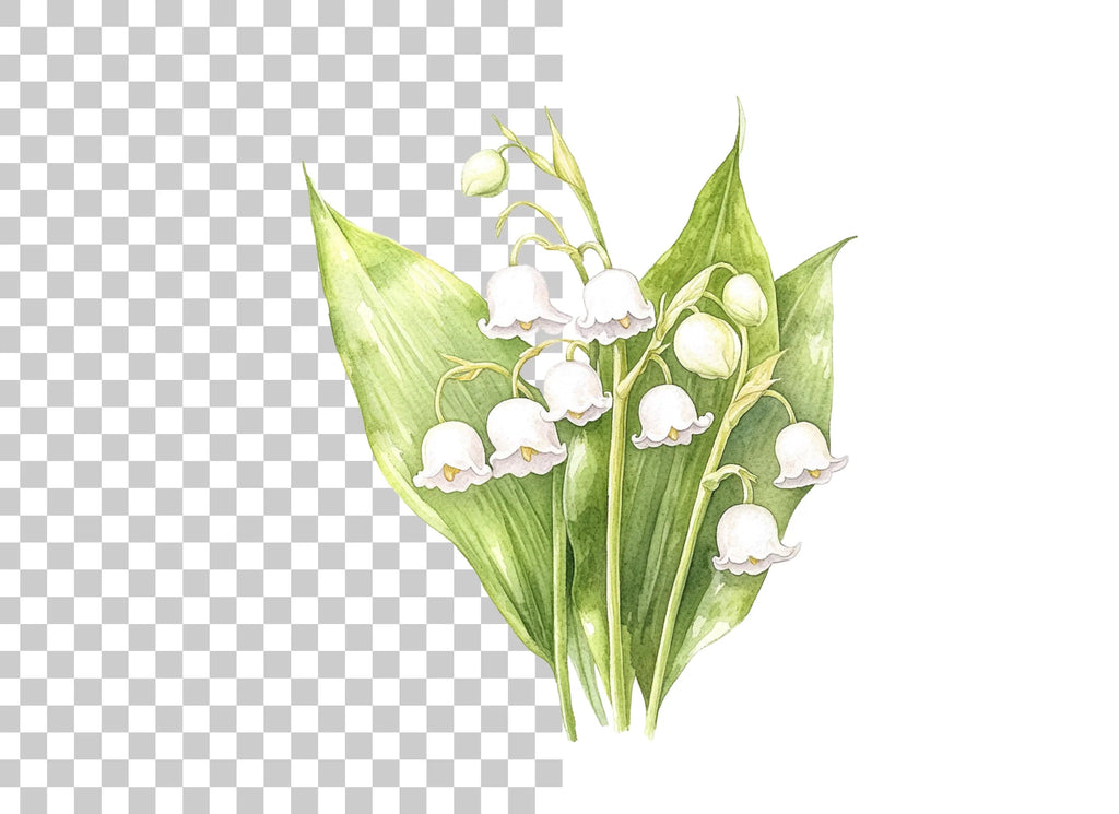 Delicate Lily of the Valley Clipart Bundle
