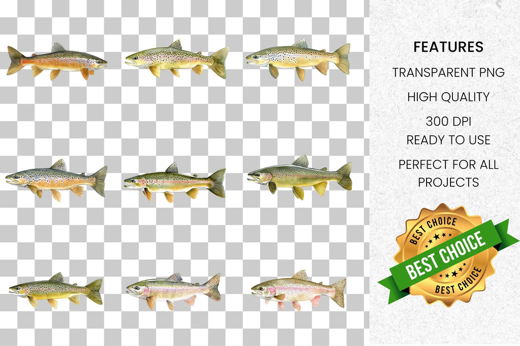 Trout Fish Clipart Bundle