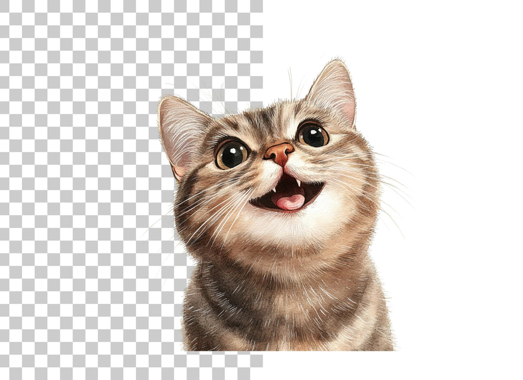 Cute Tabby Kitten Faces Clipart Bundle