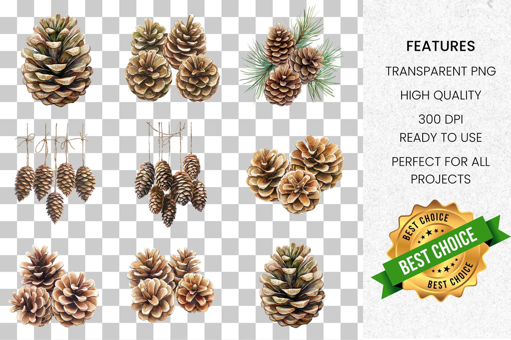 Pinecone Clipart Bundle