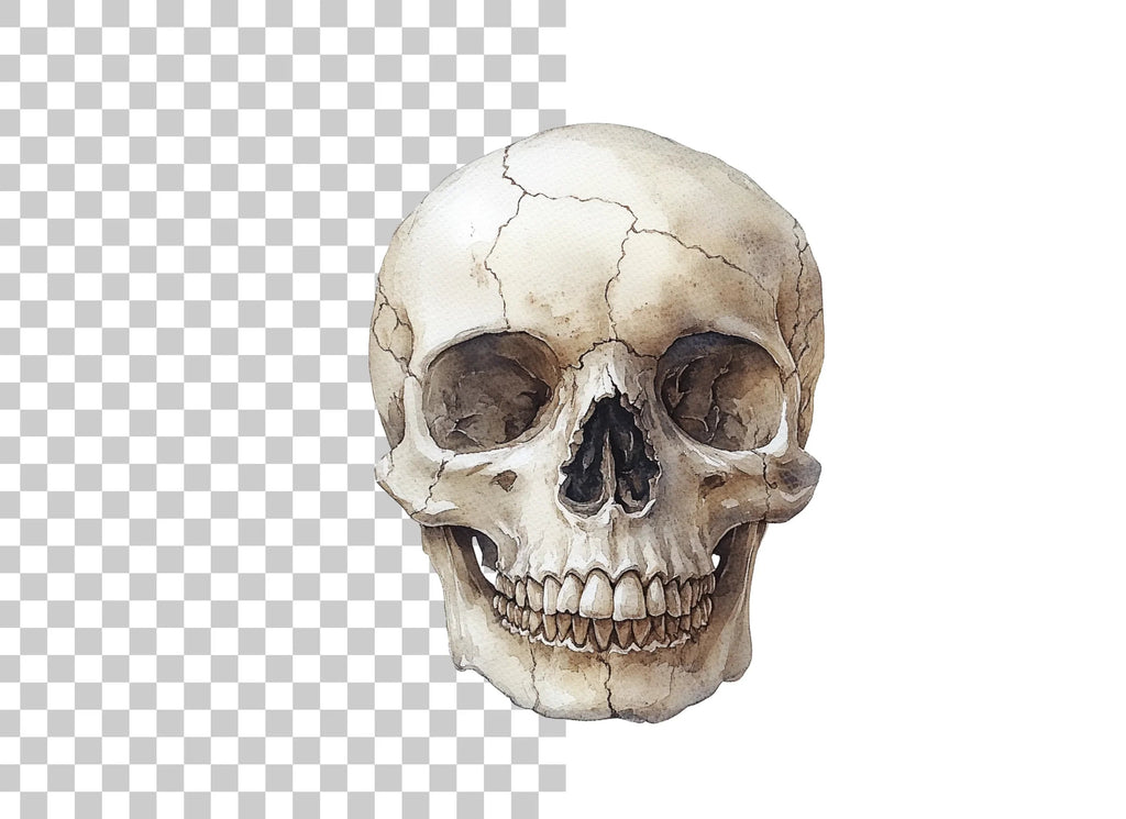 Skull Clipart Bundle