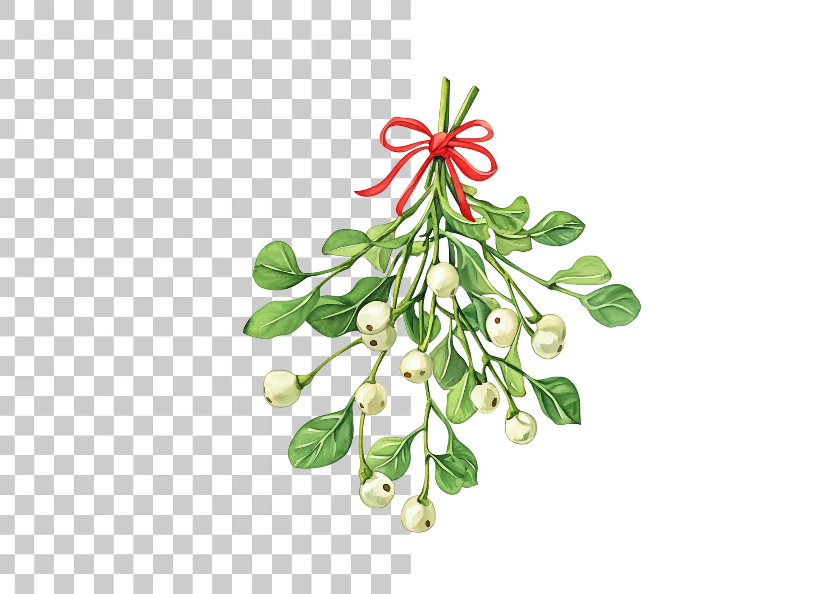 Festive Mistletoe Clipart Bundle