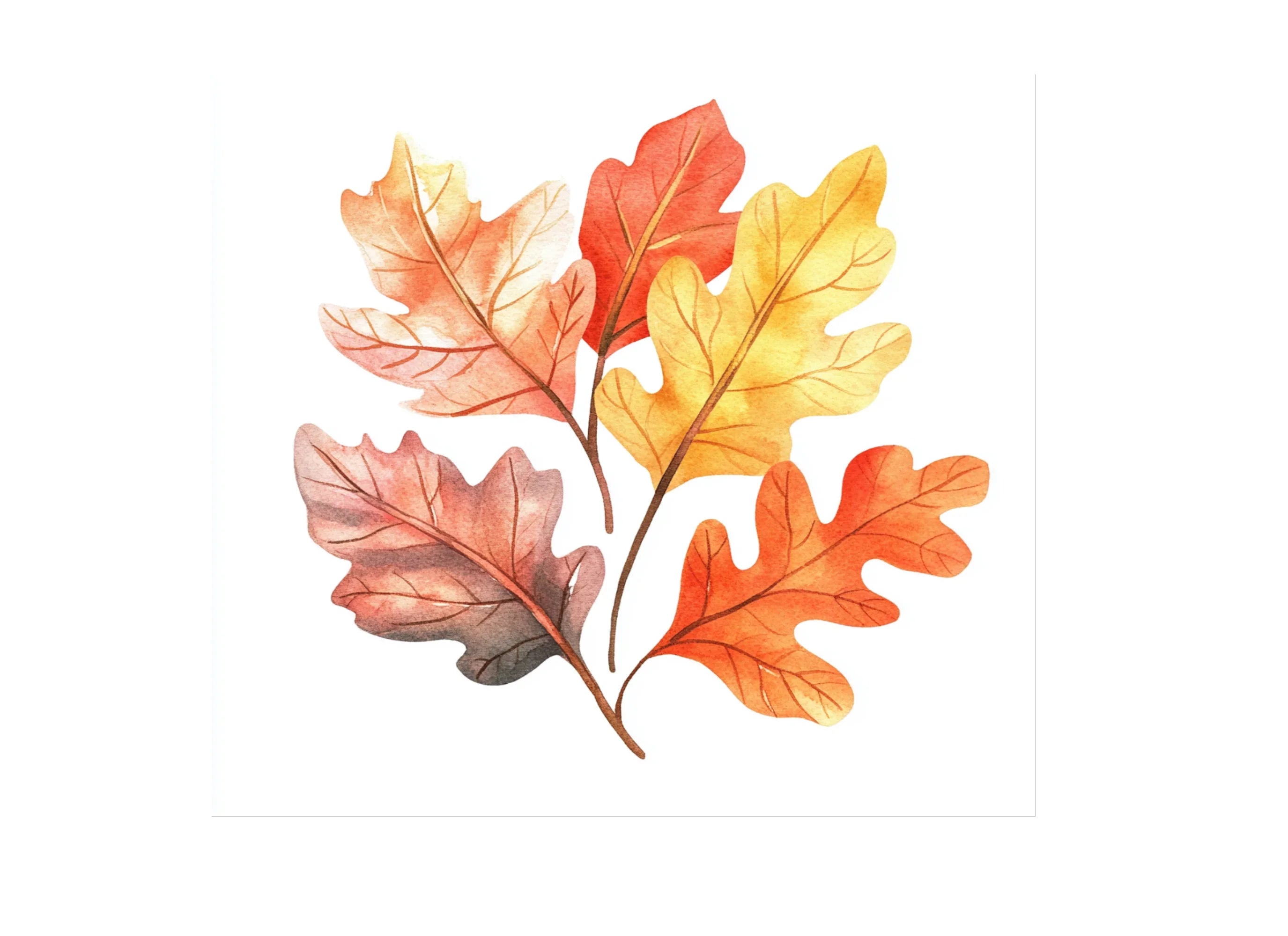 Autumn Leaves Clipart Bundle