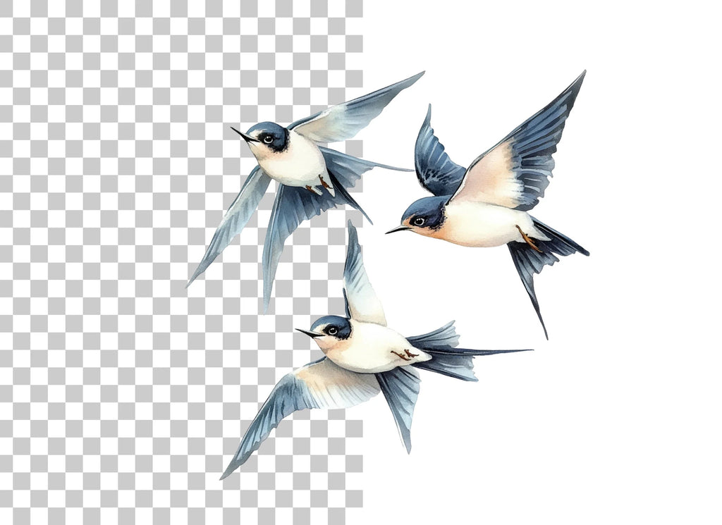 Flying Swallows Clipart Bundle