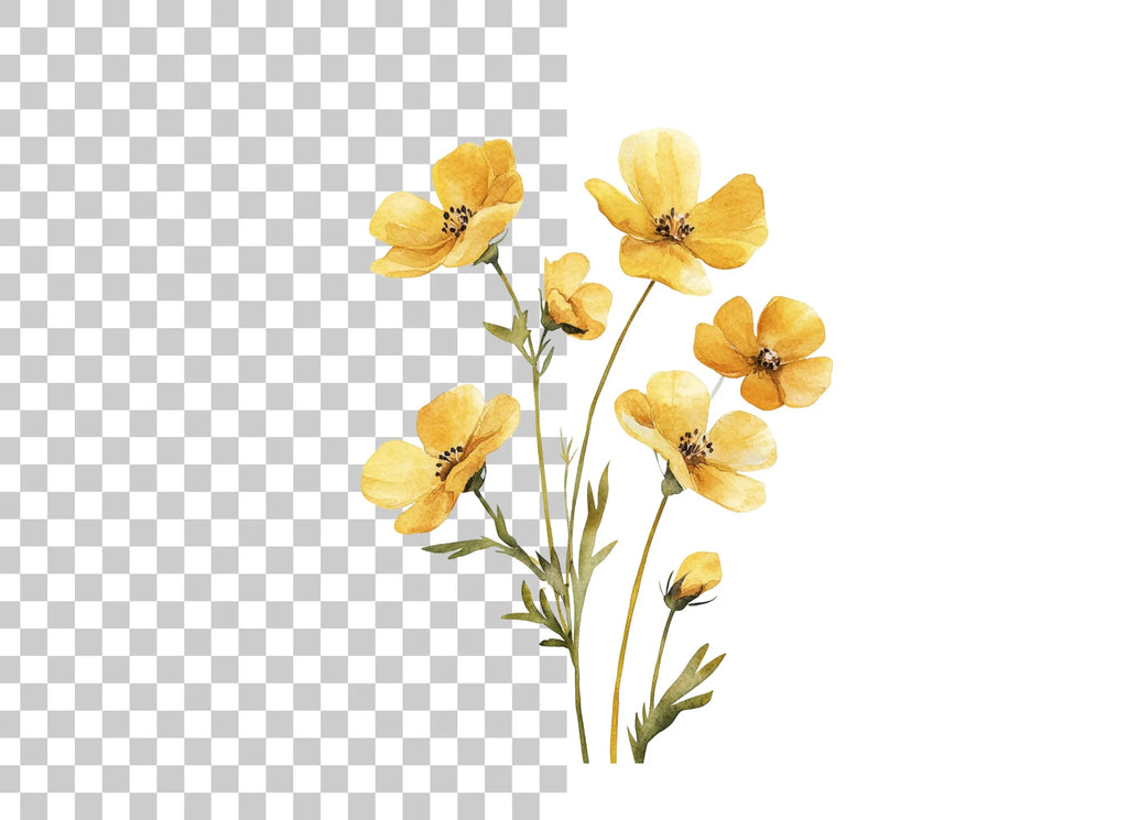 Yellow Wildflowers Clipart Bundle