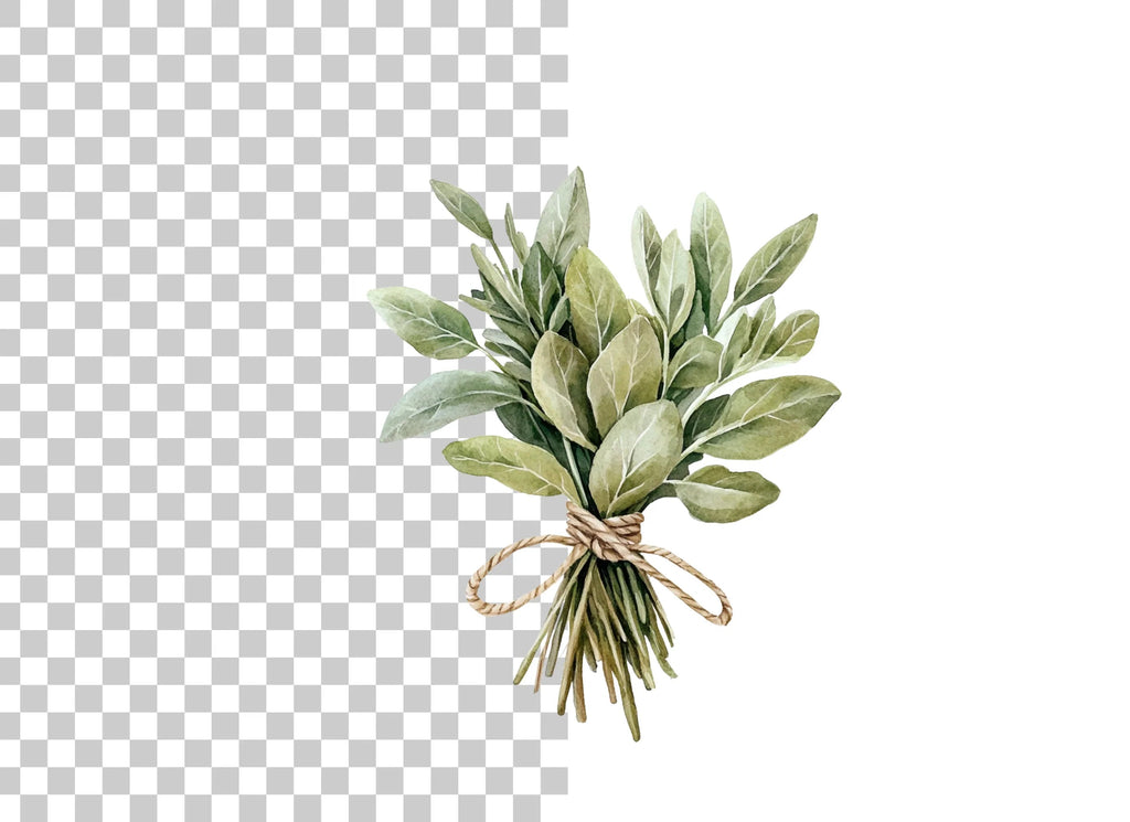 Fresh Herb Bouquets Clipart Bundle