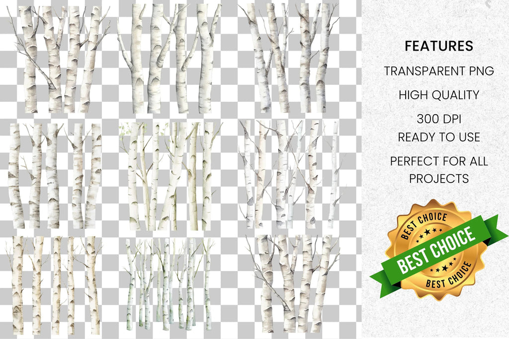 Birch Trees Forest Clipart Bundle