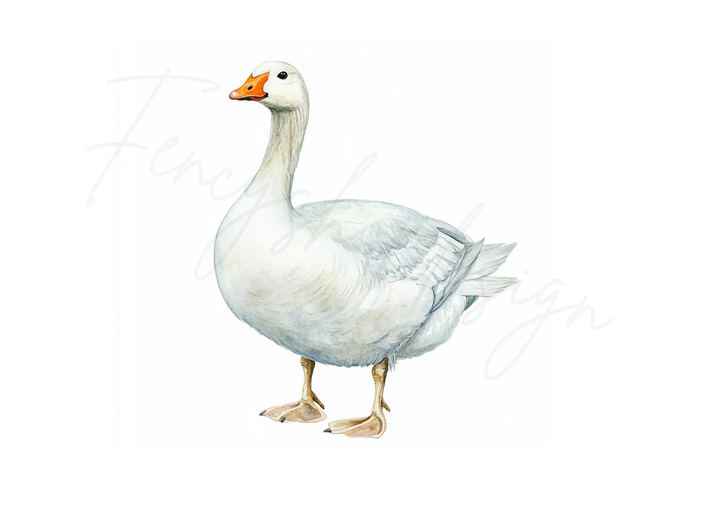White Geese Clipart Bundle