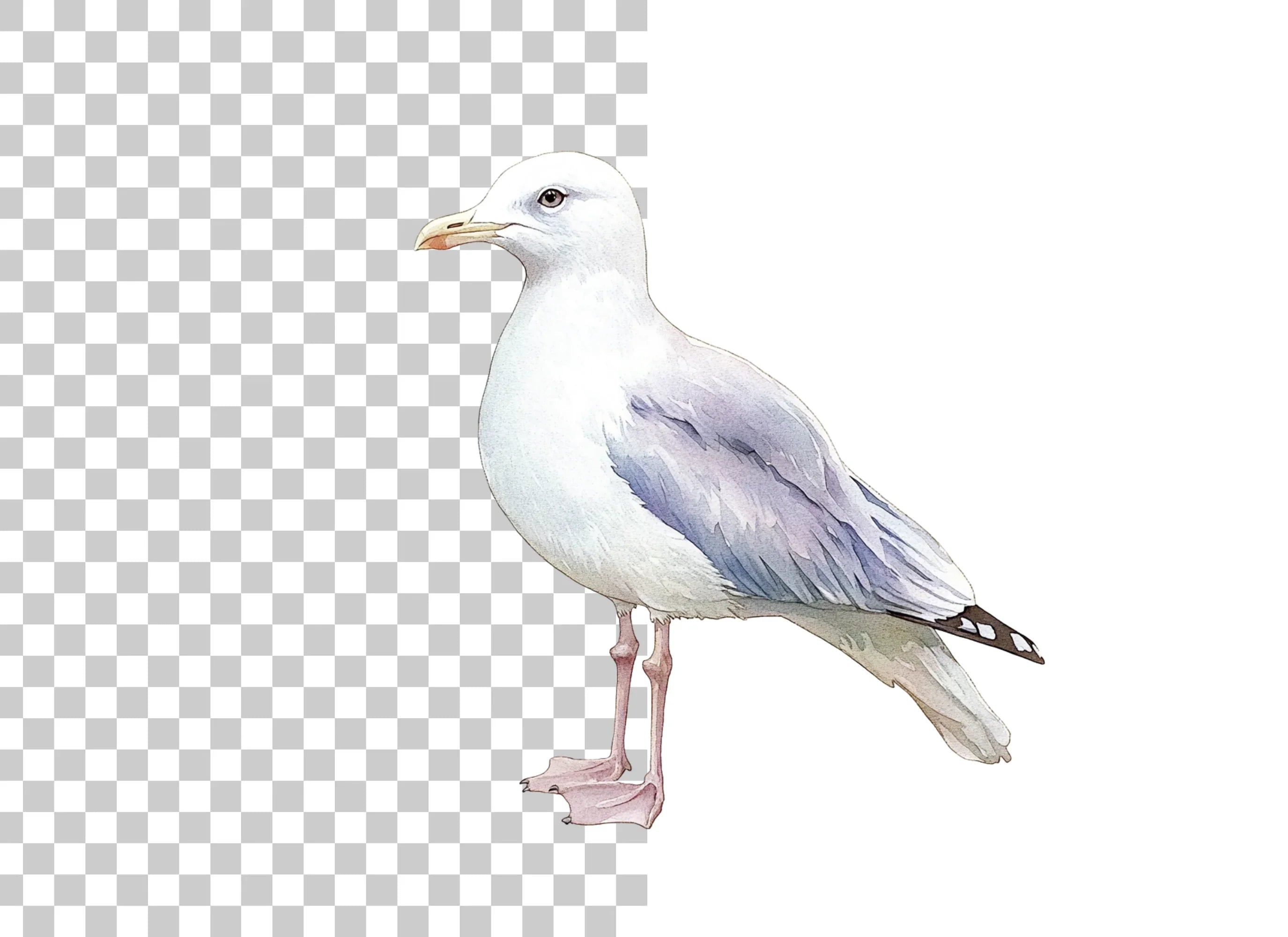 Graceful Seagull Clipart Bundle