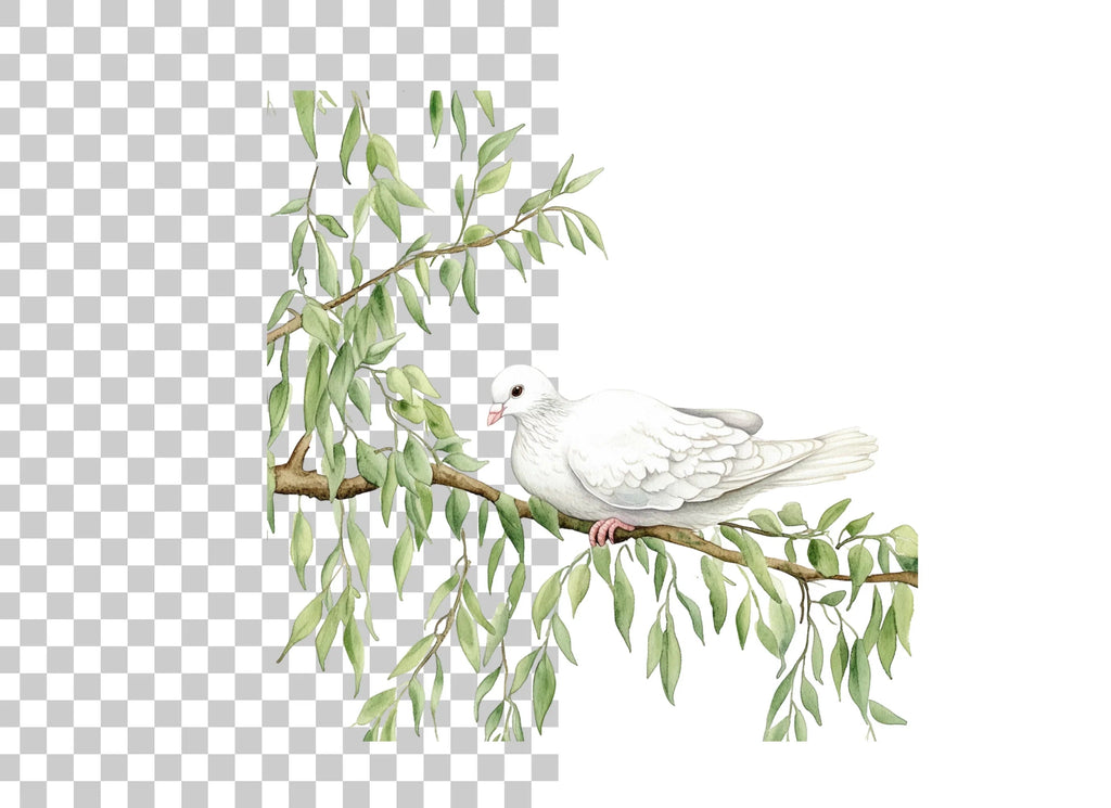 White Doves on Branches Clipart Bundle