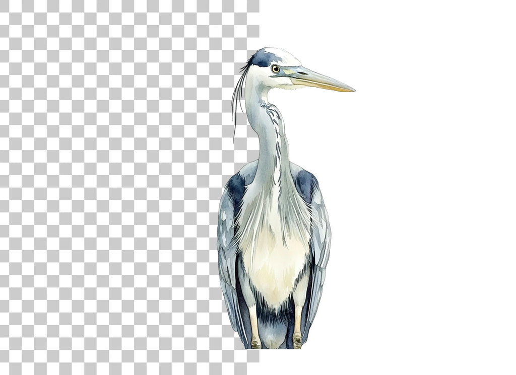 Front Facing Heron Clipart Bundle
