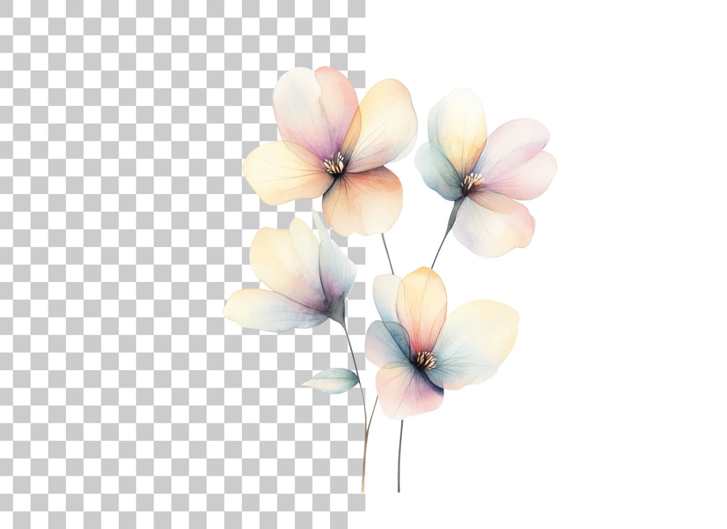 Translucent Floral Clipart Bundle