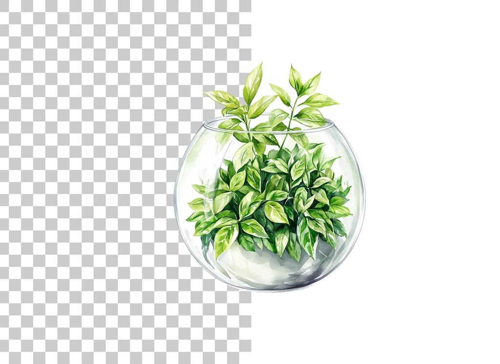 Terrarium Clipart Bundle