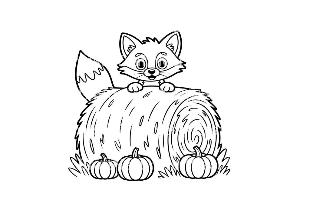 Autumn Fox and Pumpkins Coloring Books