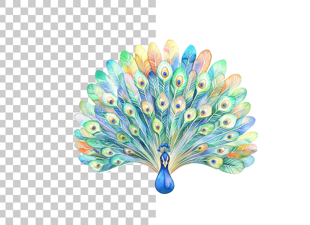Vibrant Peacock Feather Fan Clipart Bundle