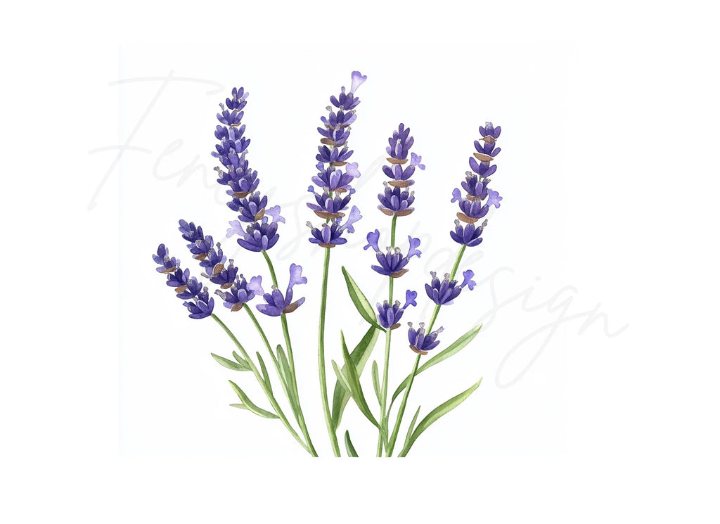 Lavender Clipart Bundle