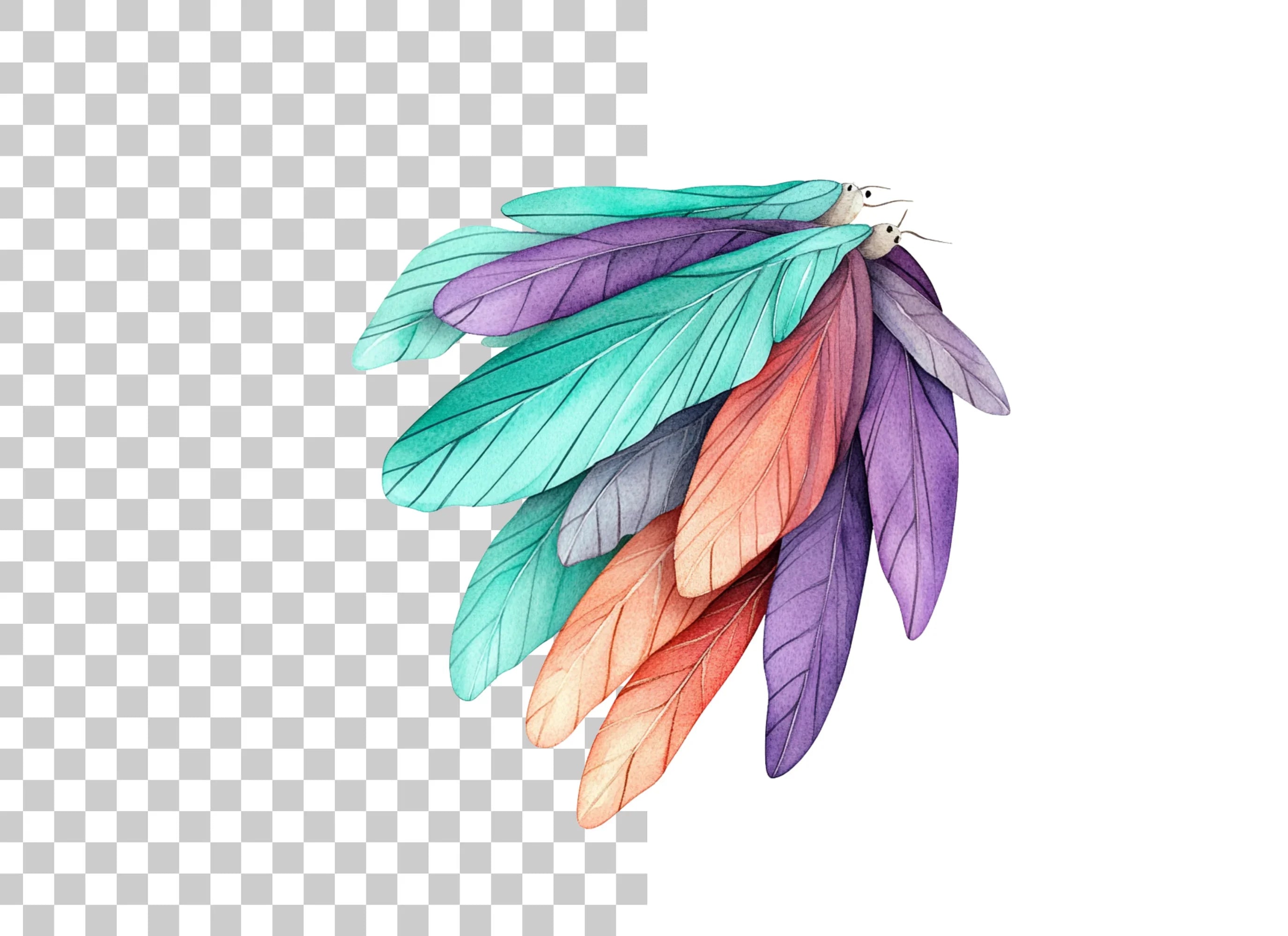 Vibrant Feather Clipart Bundle