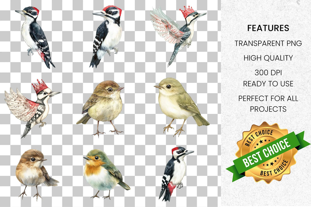 Charming Birds Clipart Bundle