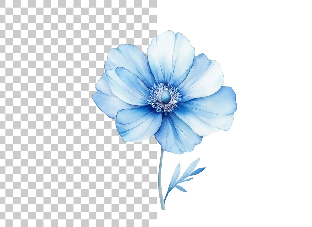 Blue Anemone Flower Clipart Bundle