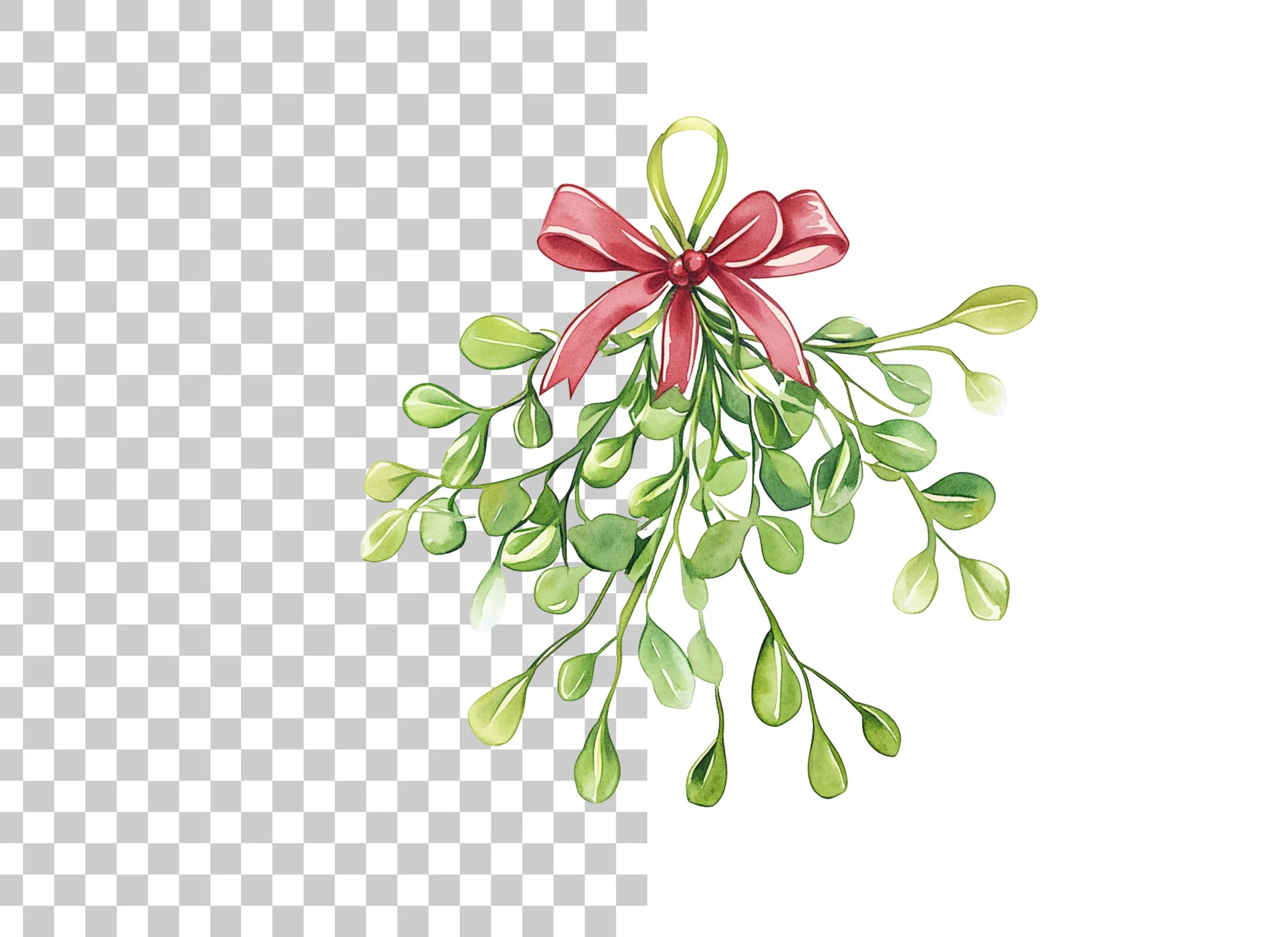 Mistletoe Clipart Bundle