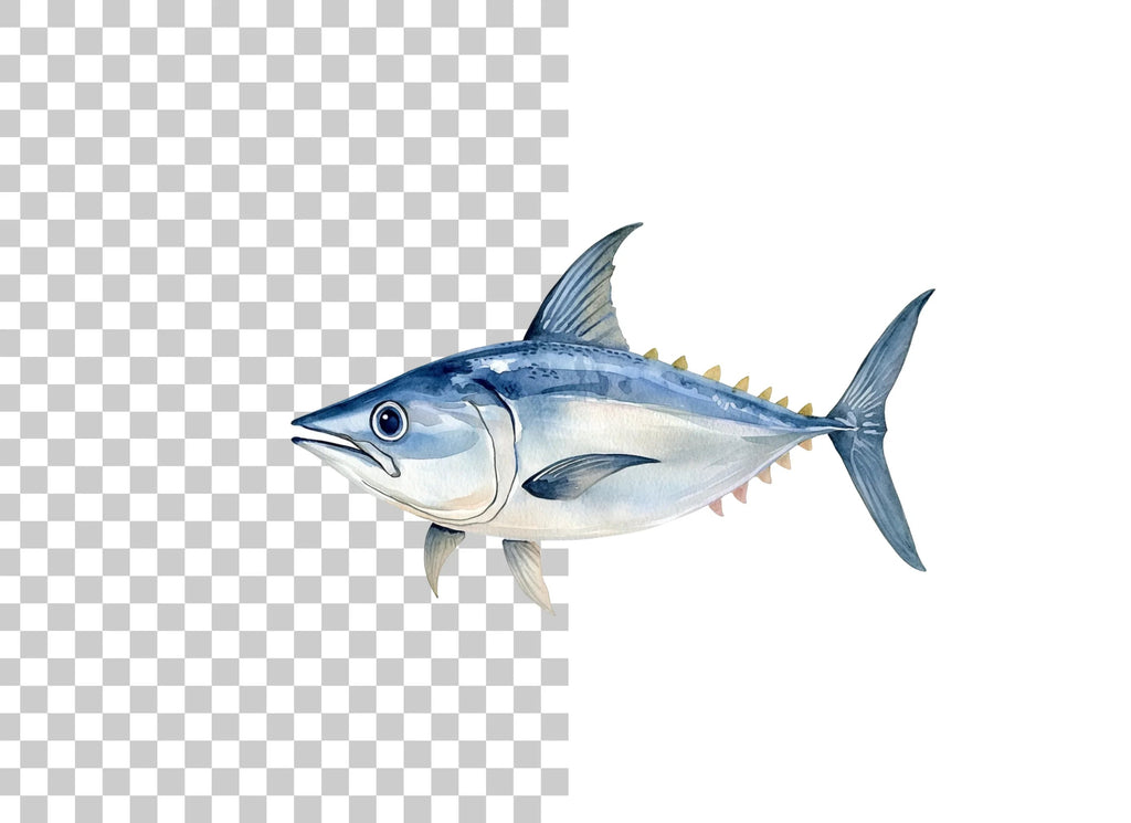 Hand Painted Tuna Clipart Bundle