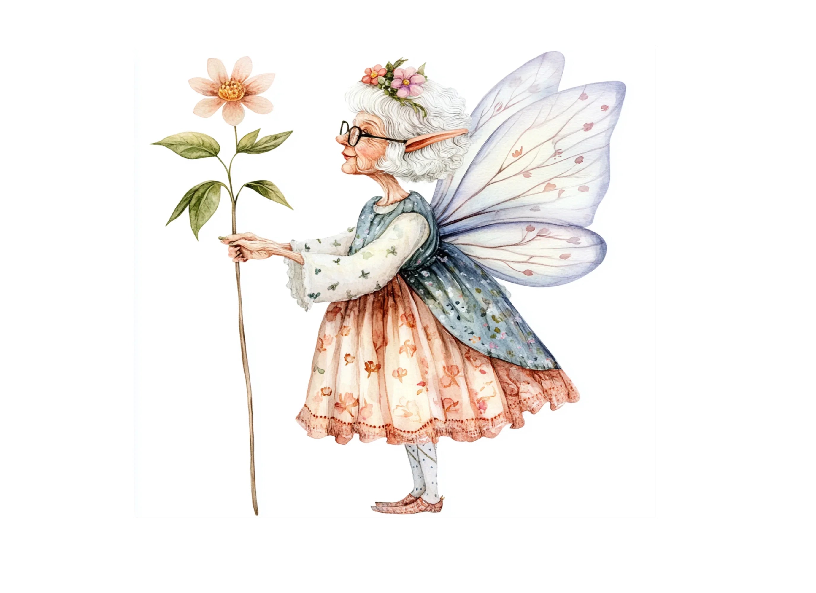 Elderly Fairy Clipart Bundle