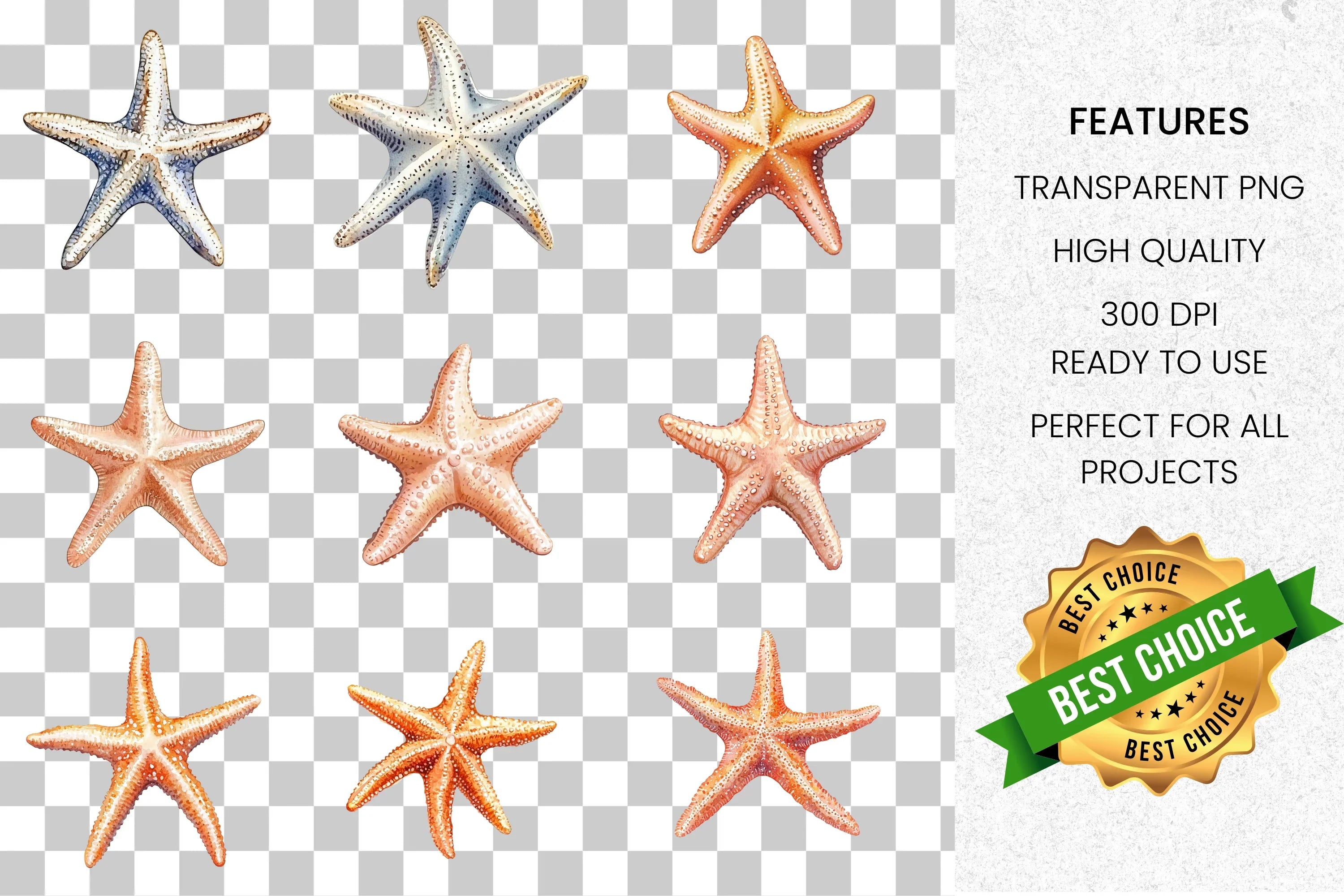 Coastal Starfish Clipart Bundle
