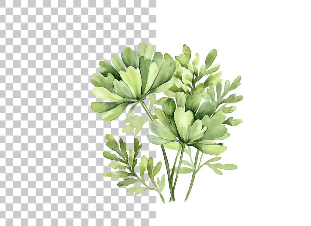 Greenery Clipart Bundle