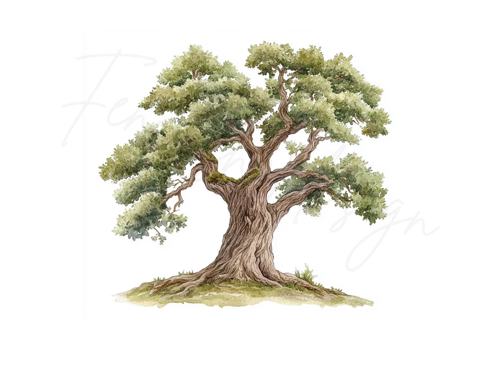 Oak Tree Clipart Bundle